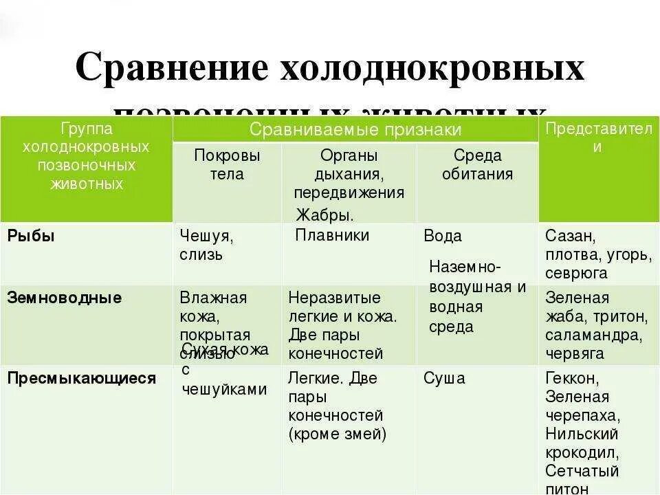 Краткая характеристика класса 8 класс. Таблица общая характеристика позвоночных животных 5 класс. Таблица по биологии класс позвоночных животных. Таблица позвоночные животные 5 класс. Особенности классов позвоночных.