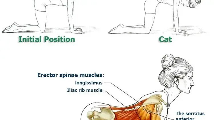 Supine position. Potential energy and kinetic energy. Its position. Спасательная позиция recovery. The position.