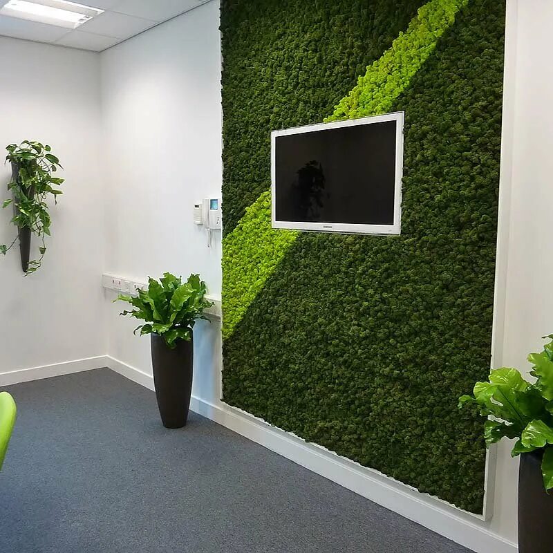 мир искусственных растений. мир искусственных растений. эпипремнум живая стена. плющ обыкновенный фитостена. фитостена плющ.