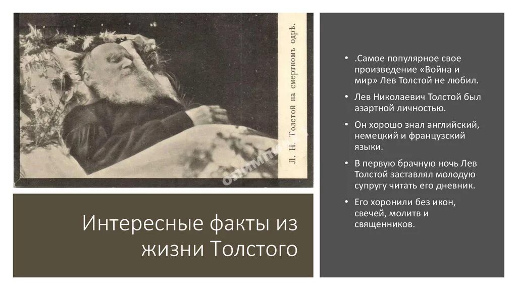 Факты о творчестве льва николаевича толстого. Пять интересных фактов из жизни льва толстого. факты про толстого льва николаевича. 3 интересных факта о л н толстого. три факта про льва николаевича толстого.