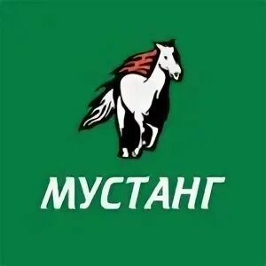 Мустанг адрес. Мустанг Севастополь АЗС. Мустанг Ойл. Mustang на заправке. Мустанг Симферополь.