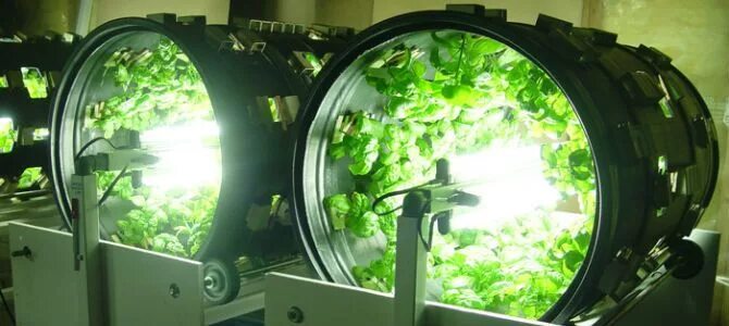 Теплица гидропоника. Гидропоника в космосе. Modern greenhouse гидропоника. Оранжерея veggie мкс. Растения на мкс.