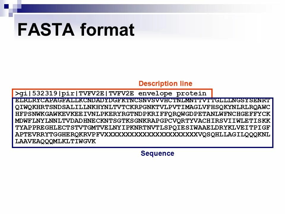 Примеры текстов в формате fasta. Fasta файл. Программы fasta.