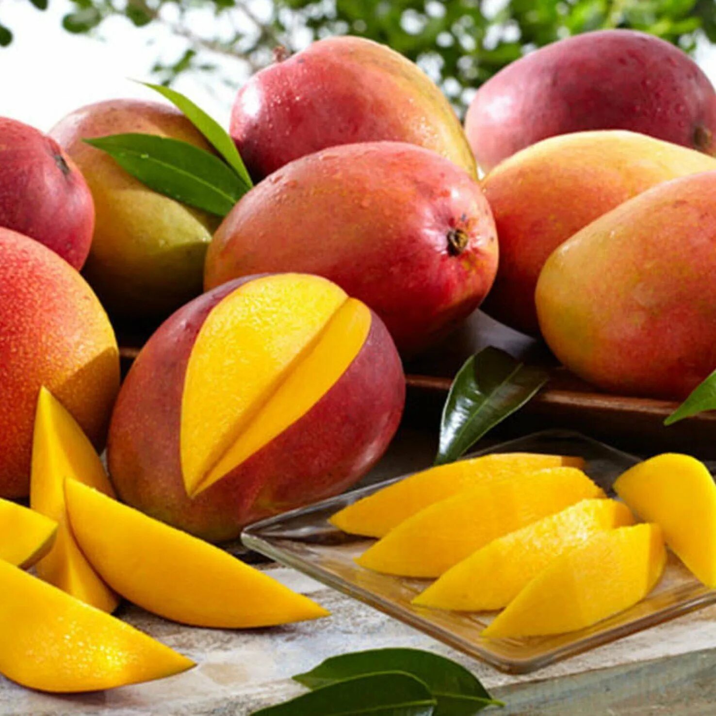 Манго (фрукт). Манго Королевский. Сорт манго Авис. Тропические фрукты манго.