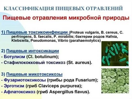 Возбудители пищевых токсикоинфекций