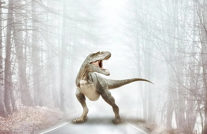 Динозавров дороги. Фотообои динозавры. Динозавр на дороге. Фотообои с динозаврами для детской. Доистория Дино.