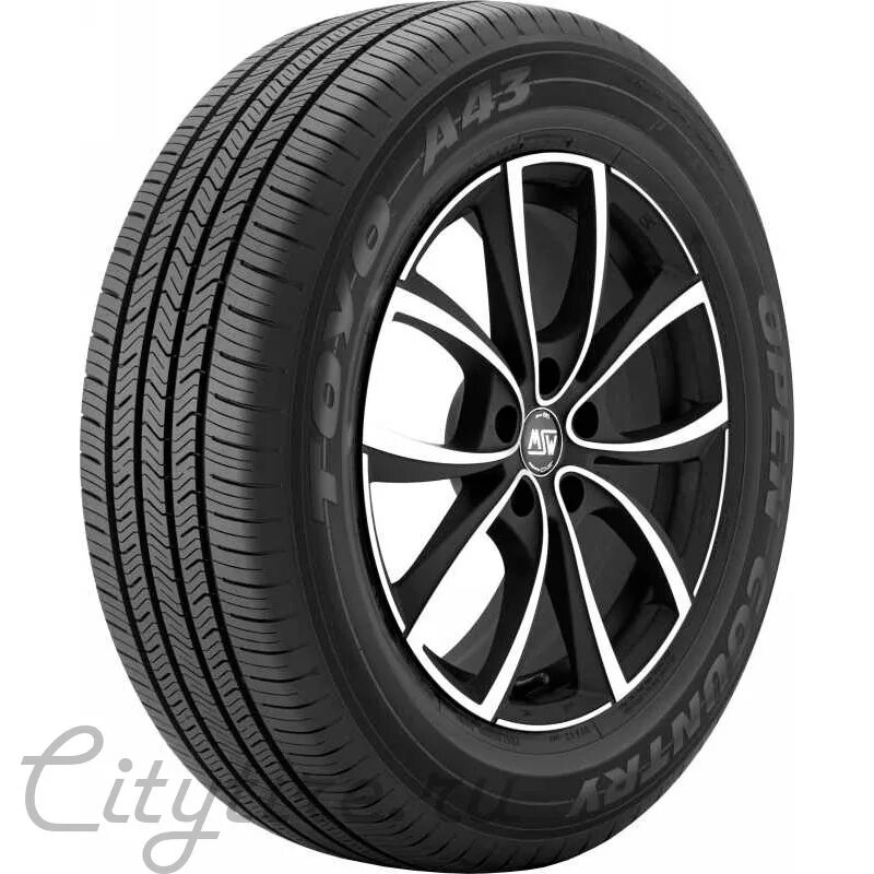 Toyo country отзывы. Toyo open Country a19. Toyo 225/65r18. Toyo open Country a32. 225 65 R18 Toyo Москва.
