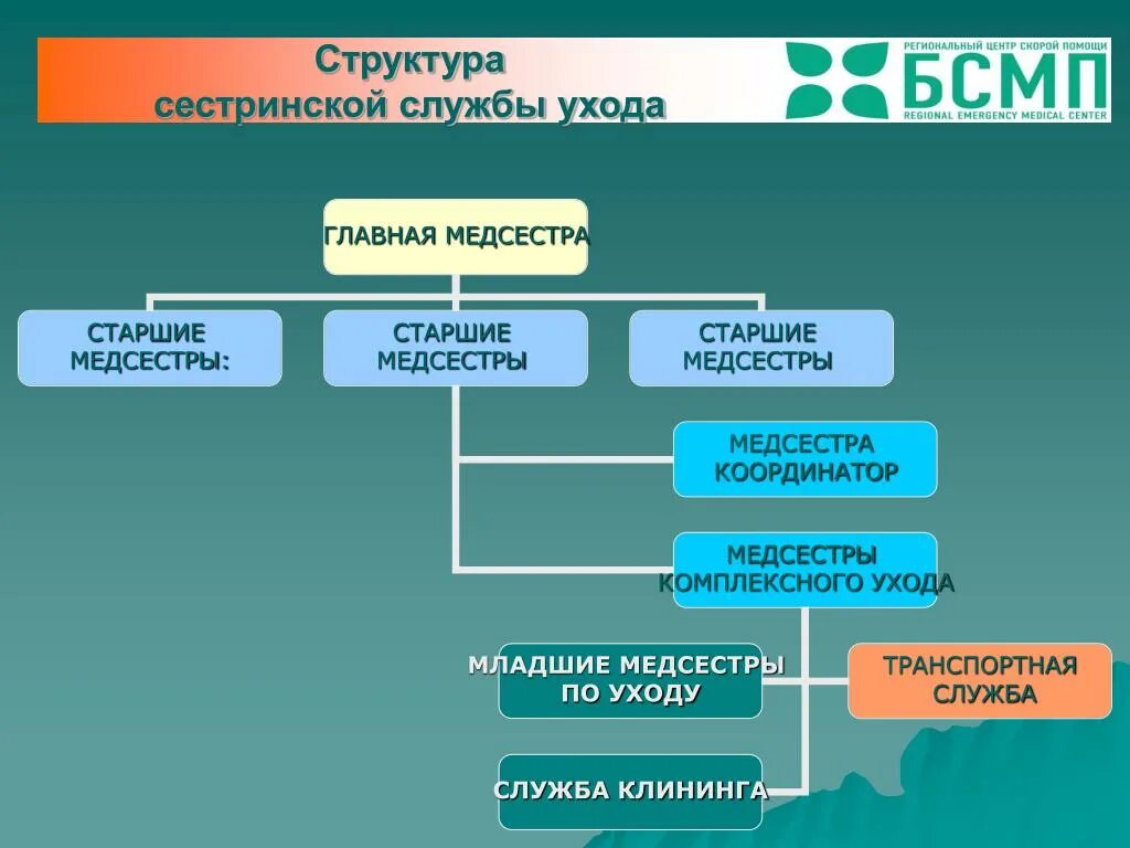 Организация сестринской службы. Структура сестринской службы. Структура мед персоналп. Структура управления сестринской службой. Структура сестринского персонала в ЛПУ.