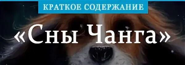 Краткое содержание во сне ты горько плакал