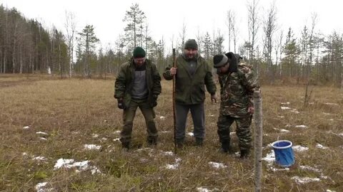 Хренов видео