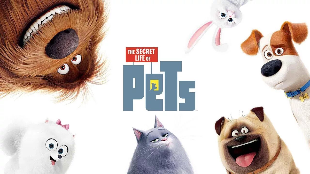 The Secret Life of Pets 2. Жизнь домашних животных. Секретная жизнь домашних животных. Жизнь домашних животных 2 персонажи. Реальной жизни домашних животных