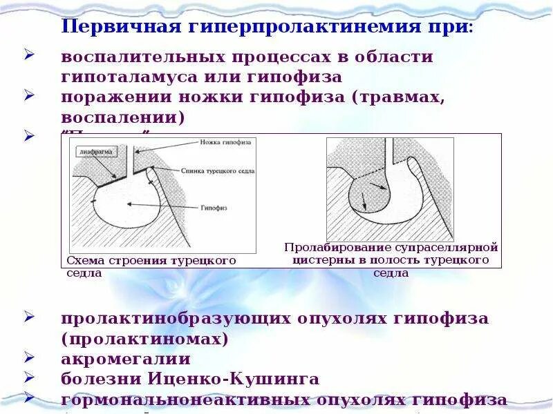 Спинка турецкого седла. Турецкое седло рентген размеры. турецкое седло рентген анатомия. размеры турецкого седла в норме. протокол рентгенографии турецкого седла.