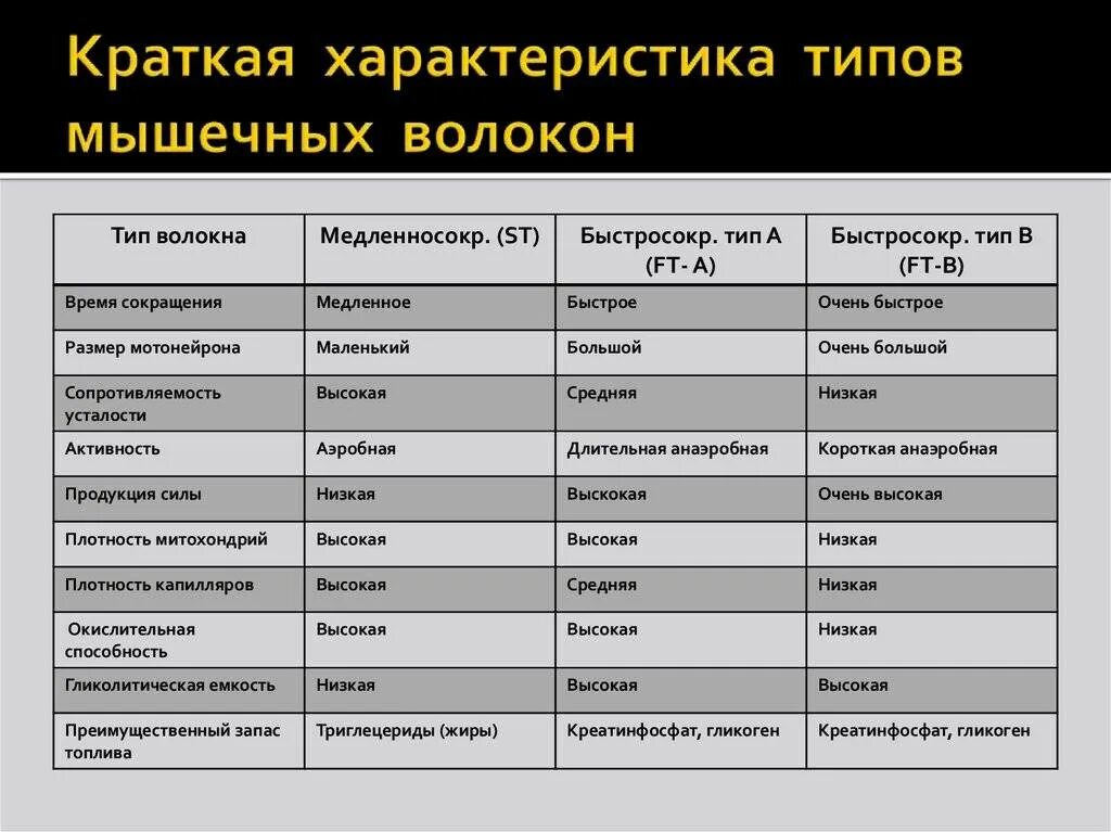 Быстро сравнение. Типы мышечных волокон таблица. Характеристики мышечных волокон 1 типа. Классификация мышечных волокон Спринтер. Характеристики мышечных волокон 2 типа таблица.