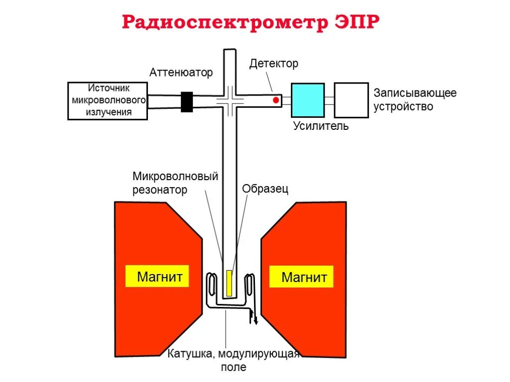 Детектор зачем. Спектрометр электронного парамагнитного резонанса. Электронный парамагнитный резонанс ЭПР. Схема спектрометра электронного парамагнитного резонанса. Схема ЯМР спектрометра.