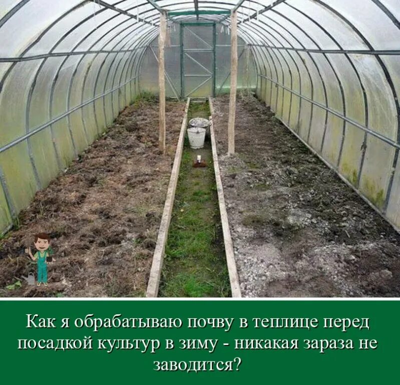 Почему в теплице плохо. Теплица осенью. зимняя теплица. подготовка почвы в теплице. теплица после зимы.