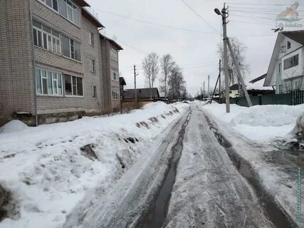 Фото средний 13