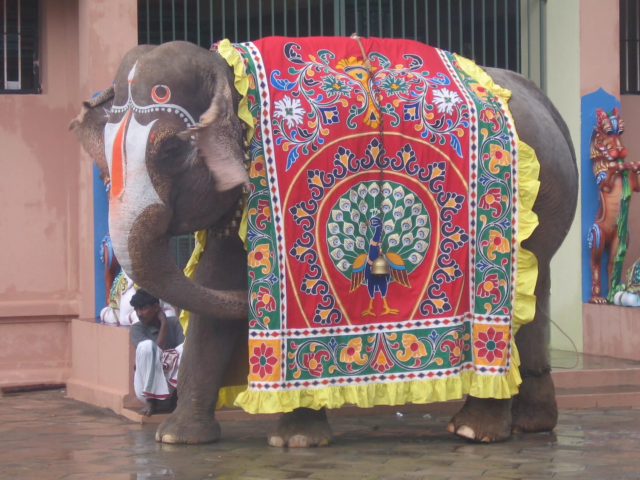 Индийский слон в Индии. Попона для слона в Индии. Индийские Священные животные слон. Индийский слон в попоне. Elephant на русском языке