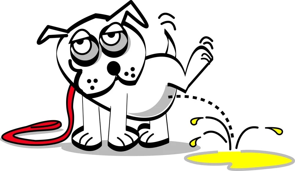 Собака метит. Собака на унитазе. Щенок писает мимо. Щенок писает мимо. Щенок писает мимо.