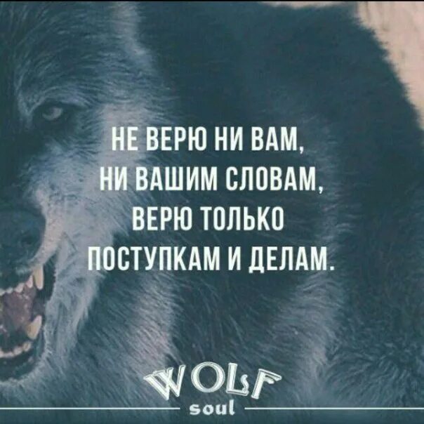 Не верьте красивым словам. Верь поступкам а не словам. Картинки не верь словам верь поступкам. Не верьте словам верьте поступкам. Не верьте красивым словам верьте поступкам.