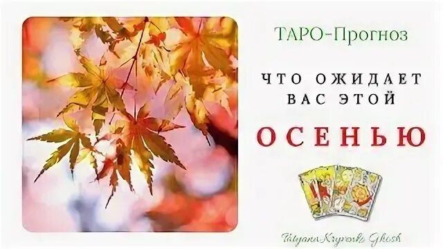 23 сентября день осеннего равноденствия. Библия за год день 103. Золотая суббота. Жатва из библии 2022. Что нас ожидает в сентябре.
