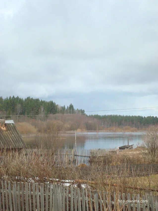 Река песь вологодская область. Станция песь новгородская область. Погода с песь хвойнинского. Погода с песь хвойнинского. Станция кабожа.