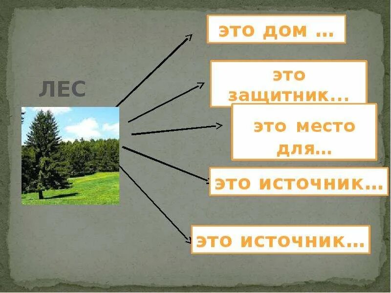 Тест по теме лесные зоны 8 класс. Лесная зона задания. задания по теме природная зона лес. зона лесов рабочий лист. необычные задания по теме зона лесов.