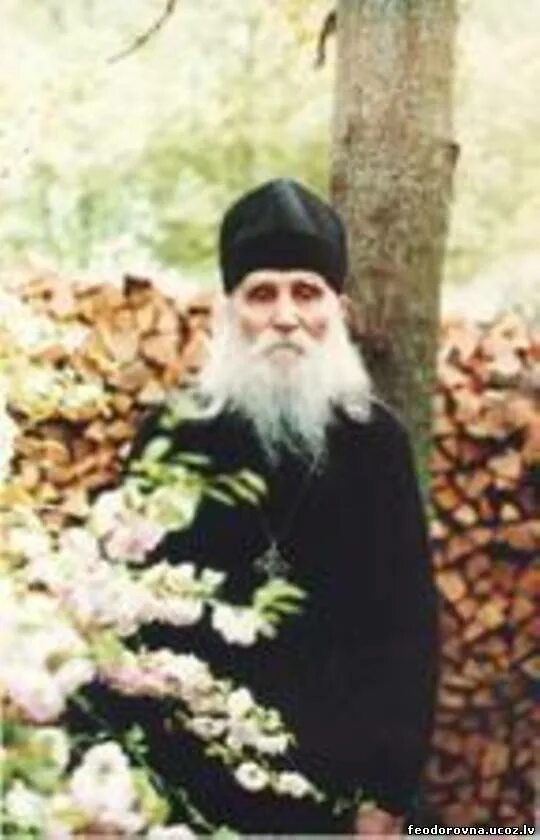 николай гурьянов портрет. гурьянов житие. николай гурьянов старец. николай алексеевич гурьянов. гурьянов житие.