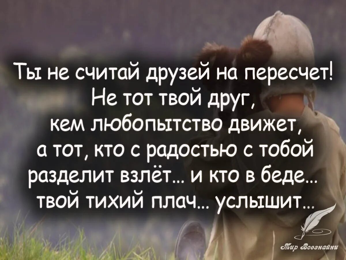 Выражения про дружбу. Цитаты про дружбу. высказывания о дружбе. мудрые высказывания о дружбе. цитаты про друзей.