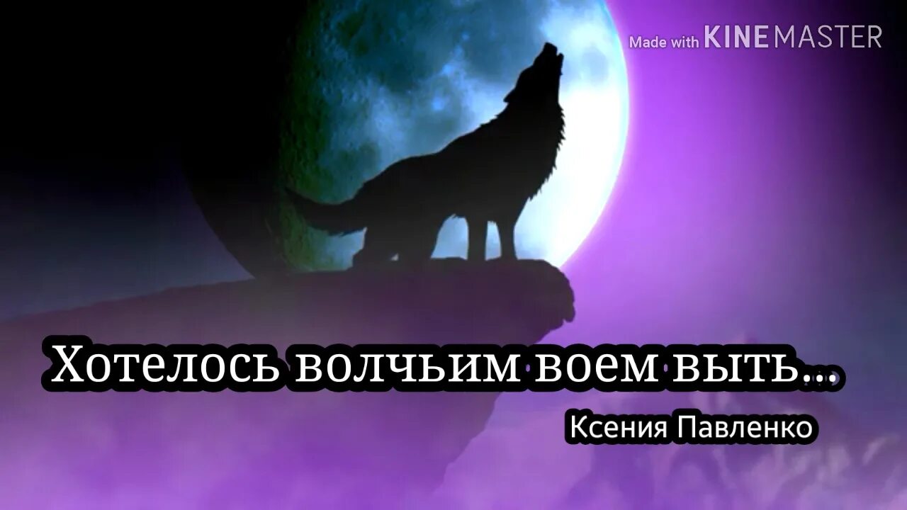 Волк и Луна. Волк воет на луну. Волк воет на скале. Волк футаж.