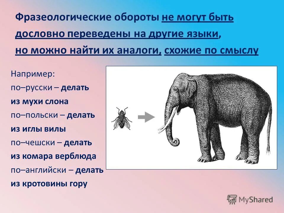 Из мухи слона фразеологизм предложение