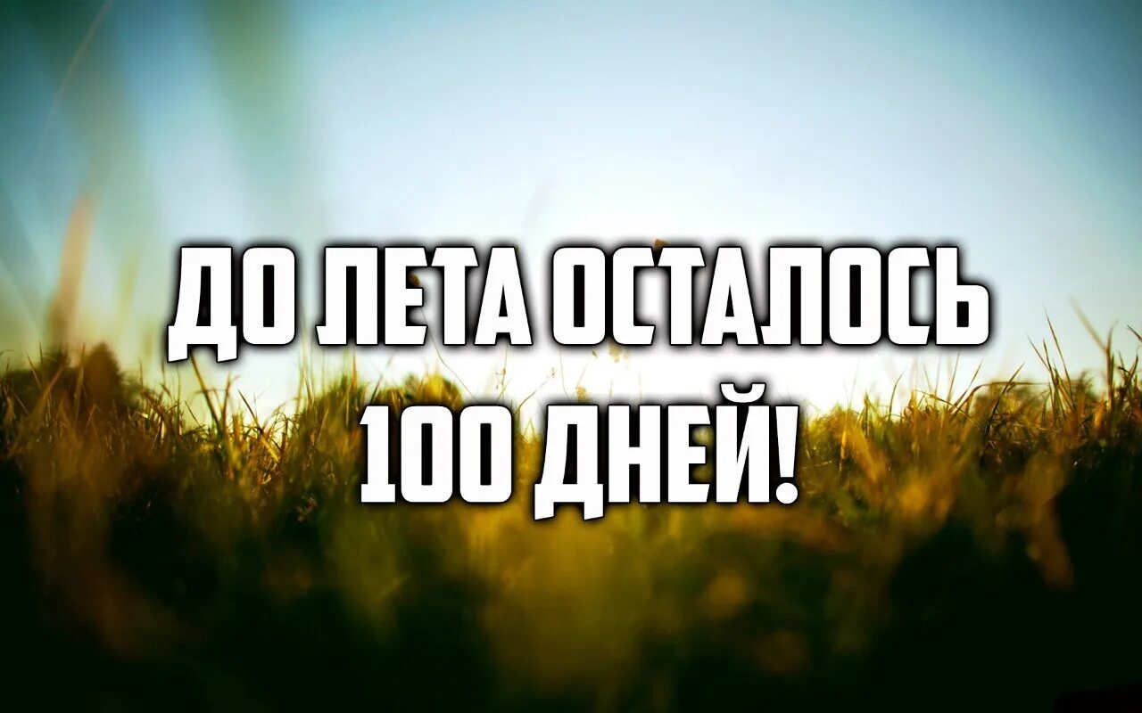 Сколько осталось до лета 5 мая. 100 Дней до лета. До лета осталось 100 дней. До лето. 100 Дней до лета картинки.