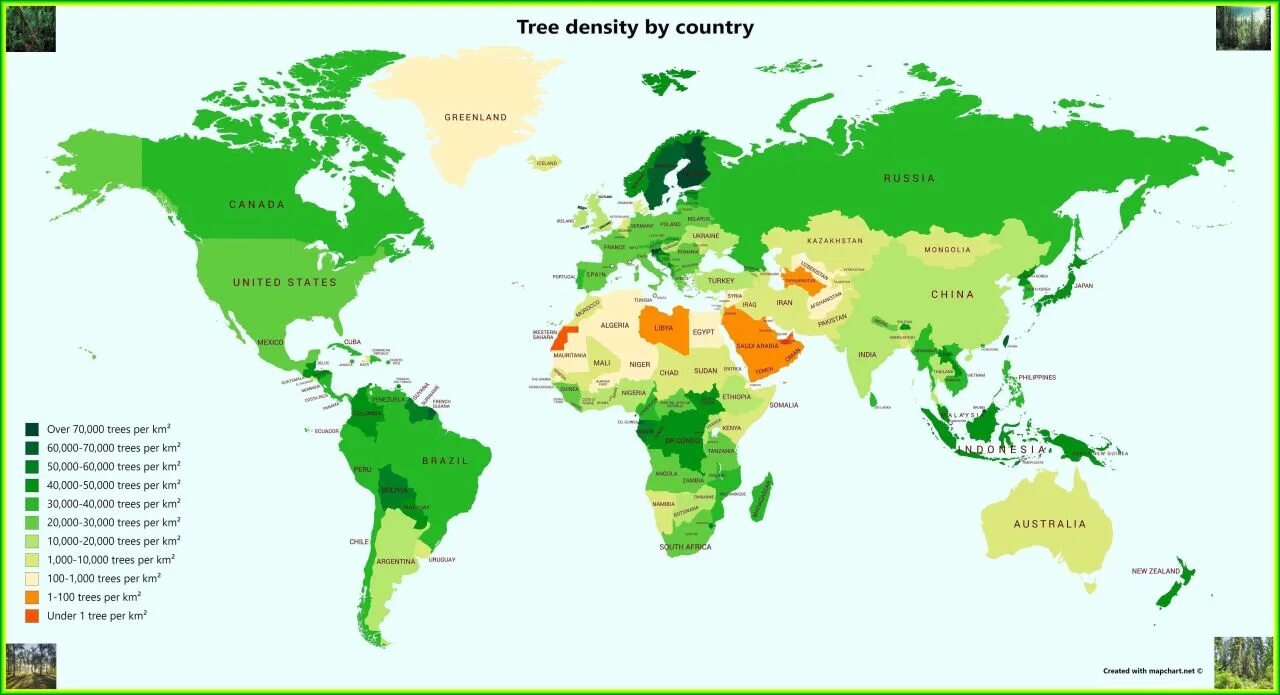 By Country. Карта лесных покровов в мире. Trees density Map. Tree Mapping. A year my country