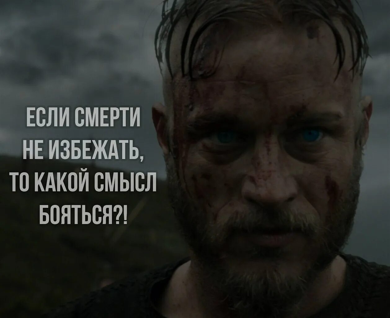 Он единственный не боится его. Он единственный не боится его