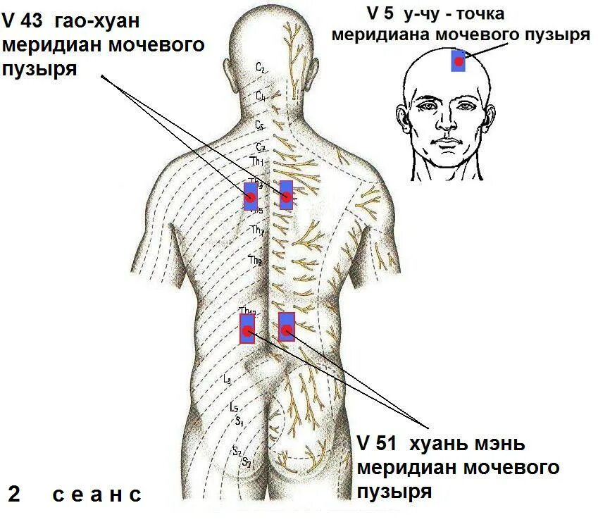 акупунктурные точки на теле человека схема. инь лин цюань точка расположение. меридиан печени акупунктурные точки. меридиан мочевого пузыря точки. активные точки меридиана мочевого пузыря.