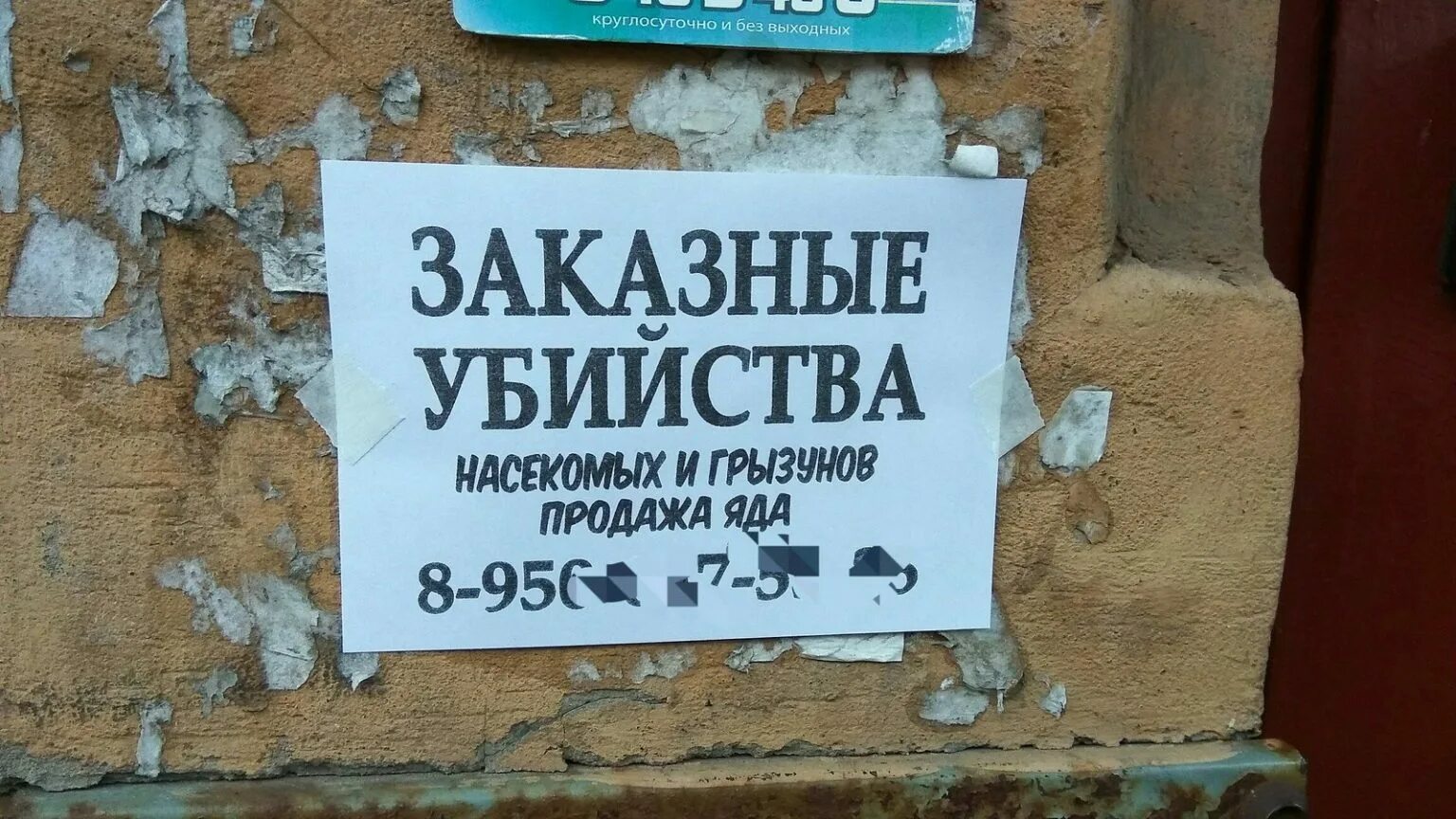 Вывески объявления. Смешные вывески и объявления. Смешные рекламы и объявления. Смешные рекламные вывески и объявления. Смешные рекламные объявления.