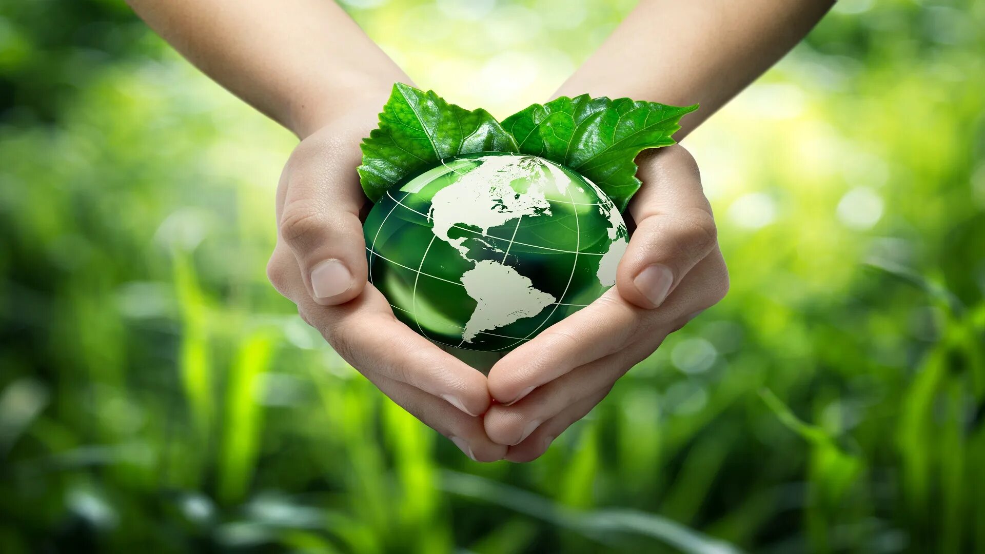 Международное экологическое отношение. Земной шар с ростком. Здоровая земля. Благоприятная окружающая среда. Руки держат земной шар.