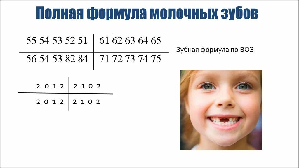 Формула количества молочных зубов. Зубная формула молочных зубов и постоянных зубов. Зубная формула ребенка в различные возрастные периоды. Зубной ряд, формула молочных зубов.. Зубная формула молочного прикуса.