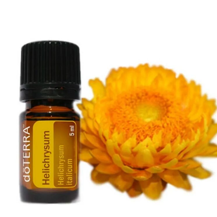 Бессмертник DOTERRA. Масло бессмертника ДОТЕРРА. ДОТЕРРА Helichrysum. Бессмертник ДОТЕРРА эфирное масло. Эфирное масло 5 мл