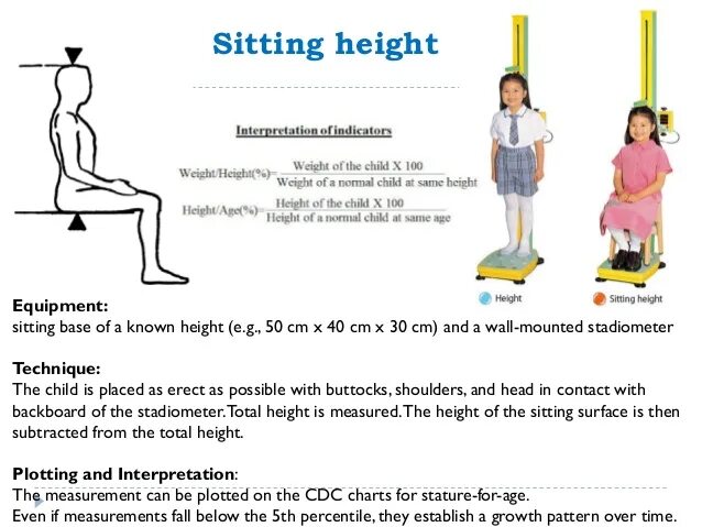 Sitting height это. Sit Slim размер. Height in cm. Sitting height / stature. Was sitting перевод