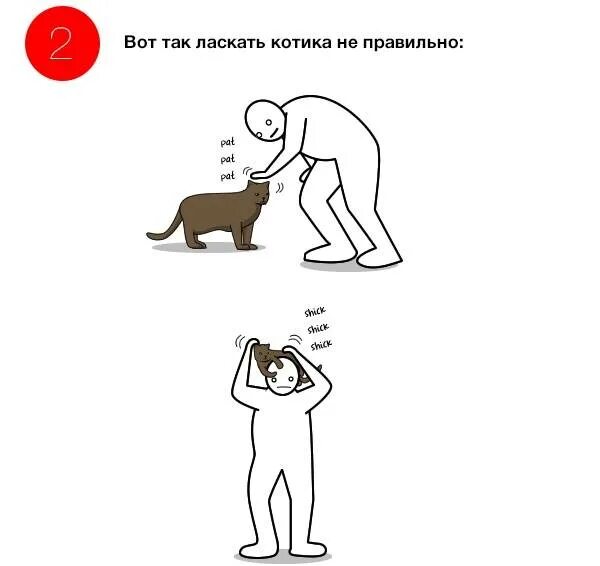 Мем мужик трогает собаку Как показать собаке что ты найдено 88 картинок