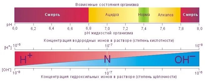 Водородный показатель норма. PH В крови при алкалозе ацидозе. Норма PH крови алкалоз ацидоз. PH артериальной крови в норме. При ацидозе РН крови.