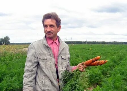 Починки ивановская область