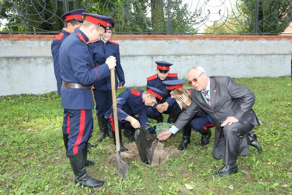 три сосны димитровград.