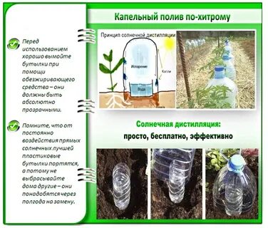 Можно ли пить из пластиковых бутылок