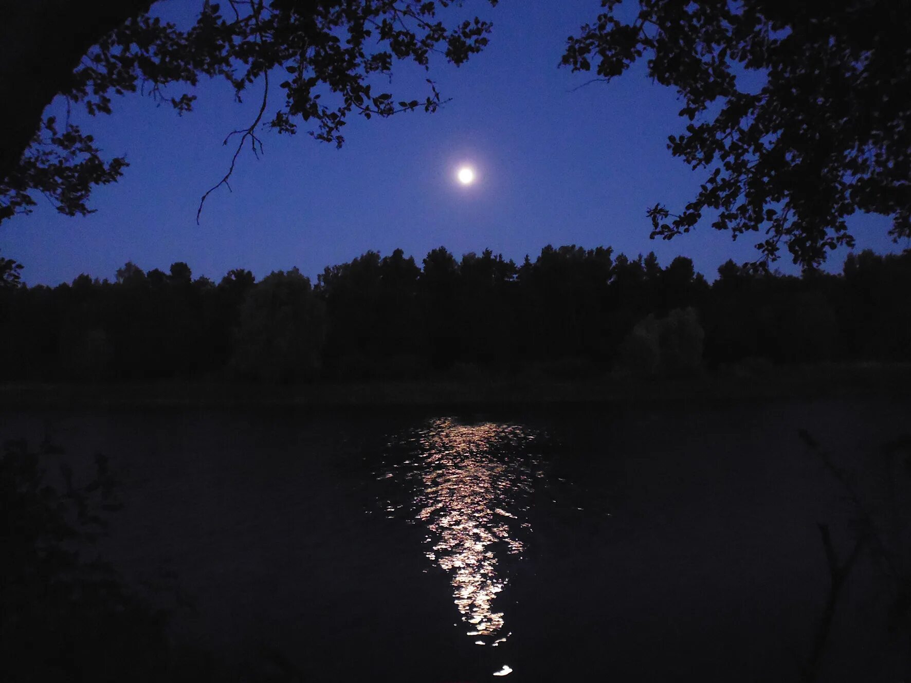 Night lake. Озеро ночью. Река ночью. Летняя ночь. Лесное озеро ночью.