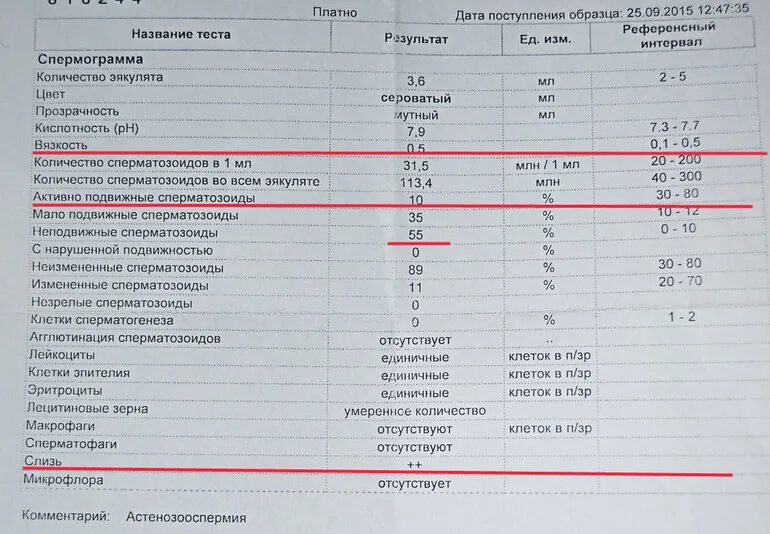 Повышены лейкоциты лечение. Лейкоциты спермограмма норма. Лейкоциты 0-3 в спермограмме. Лейкоцитов 1.10 спермограмма. Спермограмма лейкоциты норма у мужчин.