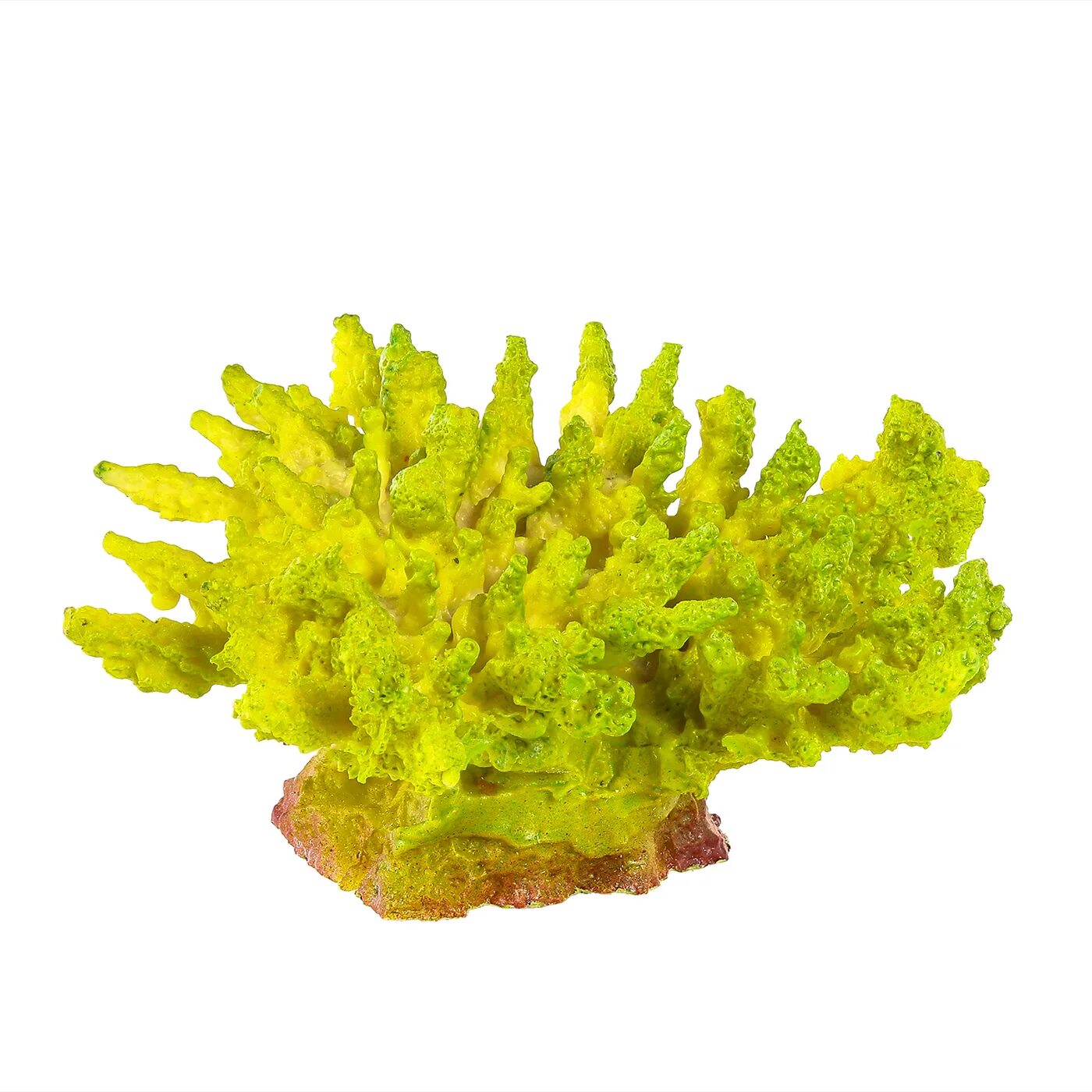 Коралл для аквариума artuniq orange coral art-2220921 14. Кораллы для аквариума. Коралл акропора искусственный. Коралл p500. Коралл морской «бранч»,.