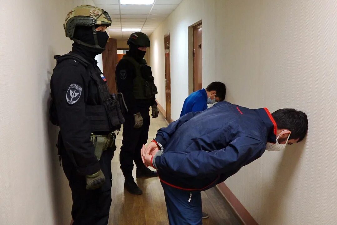 Обыск в решение