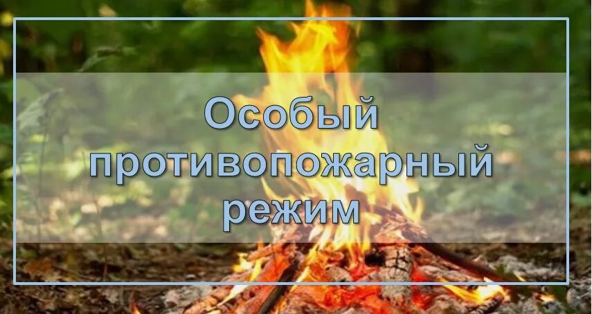 Какой противопожарный режим в свердловской области. Особый противопожарный режим. Внимание особый противопожарный режим. Действует противопожарный режим. Внимание особый противопожарный режим картинка.