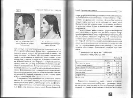 Э кречмер строение тела и характера